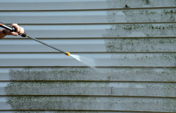 Best House Pressure Washing  in Coral Terrace, FL